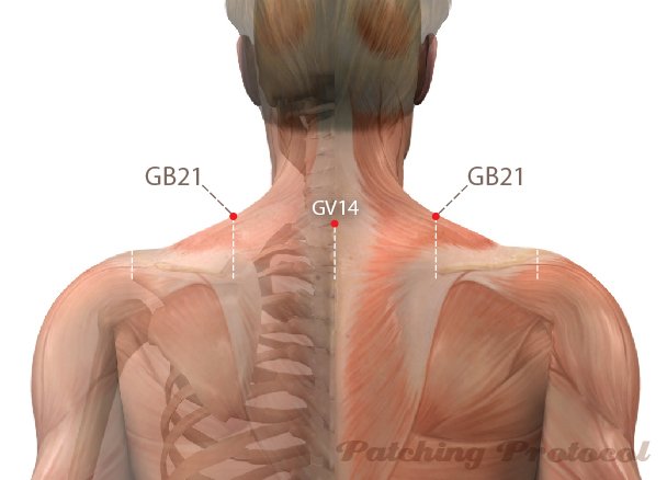 Acupoint location for GB21 – LifeWave Patching Protocol