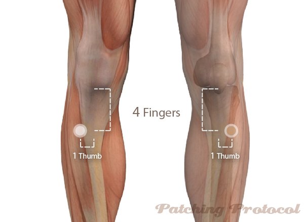 Body Weakness & Fatigue Special - LIFEWAVE PROTOCOLS