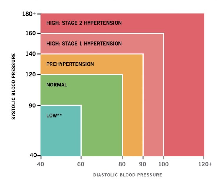 blood-pressure-graph-patching-protocol